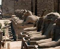 Amon - Allee de criosphinx a Karnak